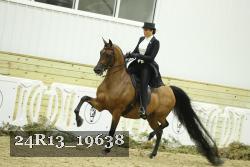 24R13_19638 thumbnail
