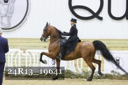 24R13_19641 thumbnail