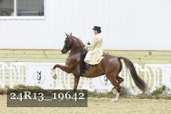 24R13_19642 thumbnail