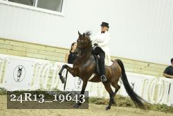 24R13_19643 thumbnail