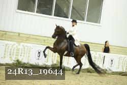 24R13_19644 thumbnail