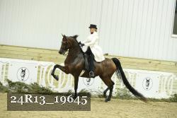 24R13_19645 thumbnail