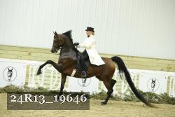 24R13_19646 thumbnail