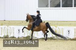 24R13_19647 thumbnail