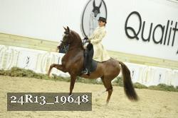 24R13_19648 thumbnail