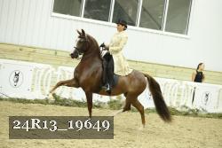 24R13_19649 thumbnail