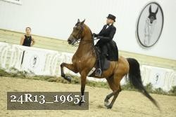 24R13_19651 thumbnail