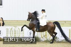 24R13_19653 thumbnail