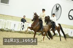 24R13_19654 thumbnail