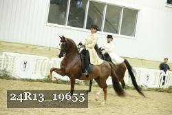 24R13_19655 thumbnail