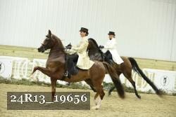 24R13_19656 thumbnail