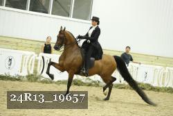 24R13_19657 thumbnail