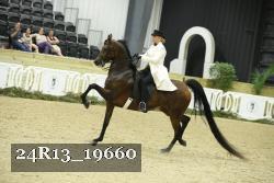 24R13_19660 thumbnail