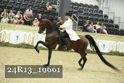 24R13_19661 thumbnail