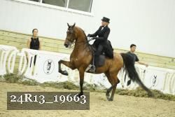 24R13_19663 thumbnail