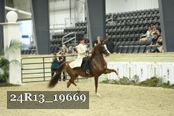 24R13_19669 thumbnail