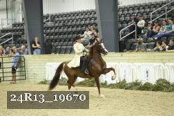24R13_19670 thumbnail