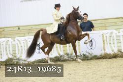 24R13_19685 thumbnail