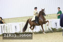 24R13_19690 thumbnail