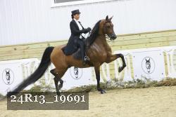 24R13_19691 thumbnail