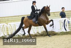 24R13_19692 thumbnail