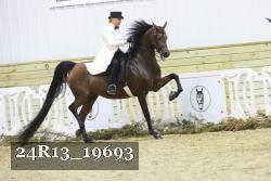 24R13_19693 thumbnail