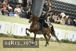 24R13_19705 thumbnail