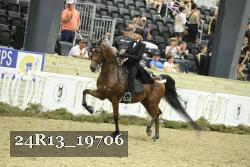 24R13_19706 thumbnail