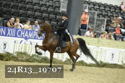 24R13_19707 thumbnail