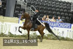 24R13_19708 thumbnail