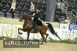 24R13_19709 thumbnail