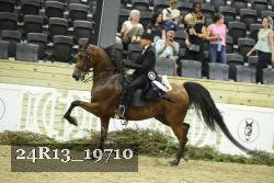 24R13_19710 thumbnail