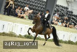24R13_19711 thumbnail