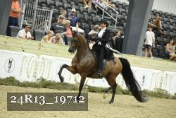 24R13_19712 thumbnail