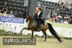 24R13_19713 thumbnail