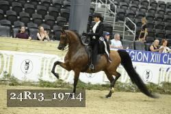 24R13_19714 thumbnail