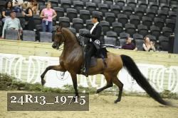 24R13_19715 thumbnail