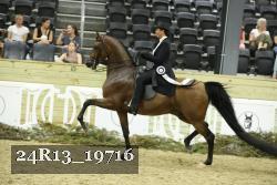 24R13_19716 thumbnail