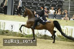 24R13_19717 thumbnail