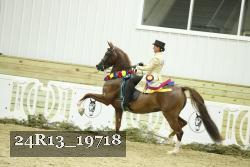 24R13_19718 thumbnail