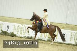 24R13_19719 thumbnail