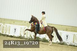 24R13_19720 thumbnail
