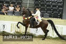 24R13_19731 thumbnail