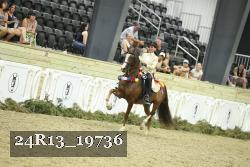 24R13_19736 thumbnail