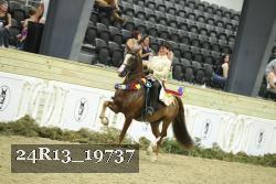 24R13_19737 thumbnail