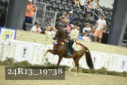 24R13_19738 thumbnail