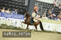 24R13_19739 thumbnail
