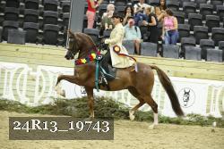 24R13_19743 thumbnail