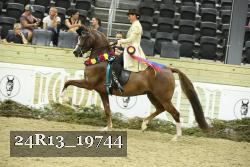 24R13_19744 thumbnail