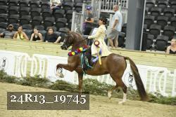 24R13_19745 thumbnail